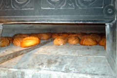db_Backofen_0491