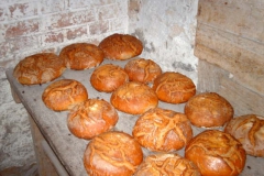 db_Backofen_0521