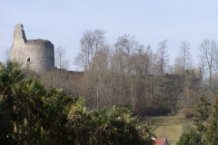 db_P21700021